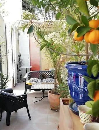 Beau T2 Clim Terrasse Superhote 公寓 尼姆